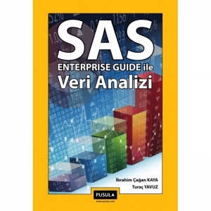 SAS Enterprise Guide ile Veri Analizi